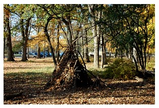 2010-10-16_picnic_085.jpg