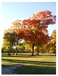 hc04_1990.jpg